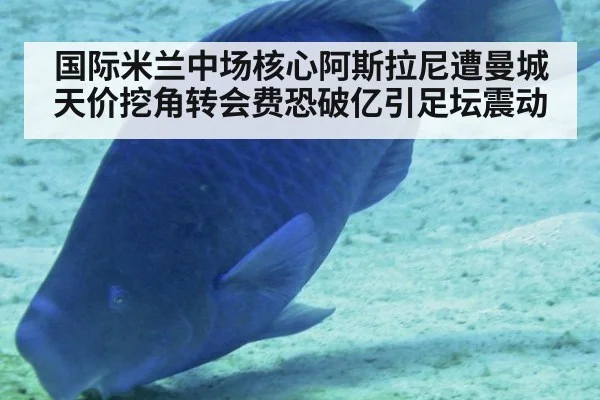 国际米兰中场核心阿斯拉尼遭曼城天价挖角转会费恐破亿引足坛震动